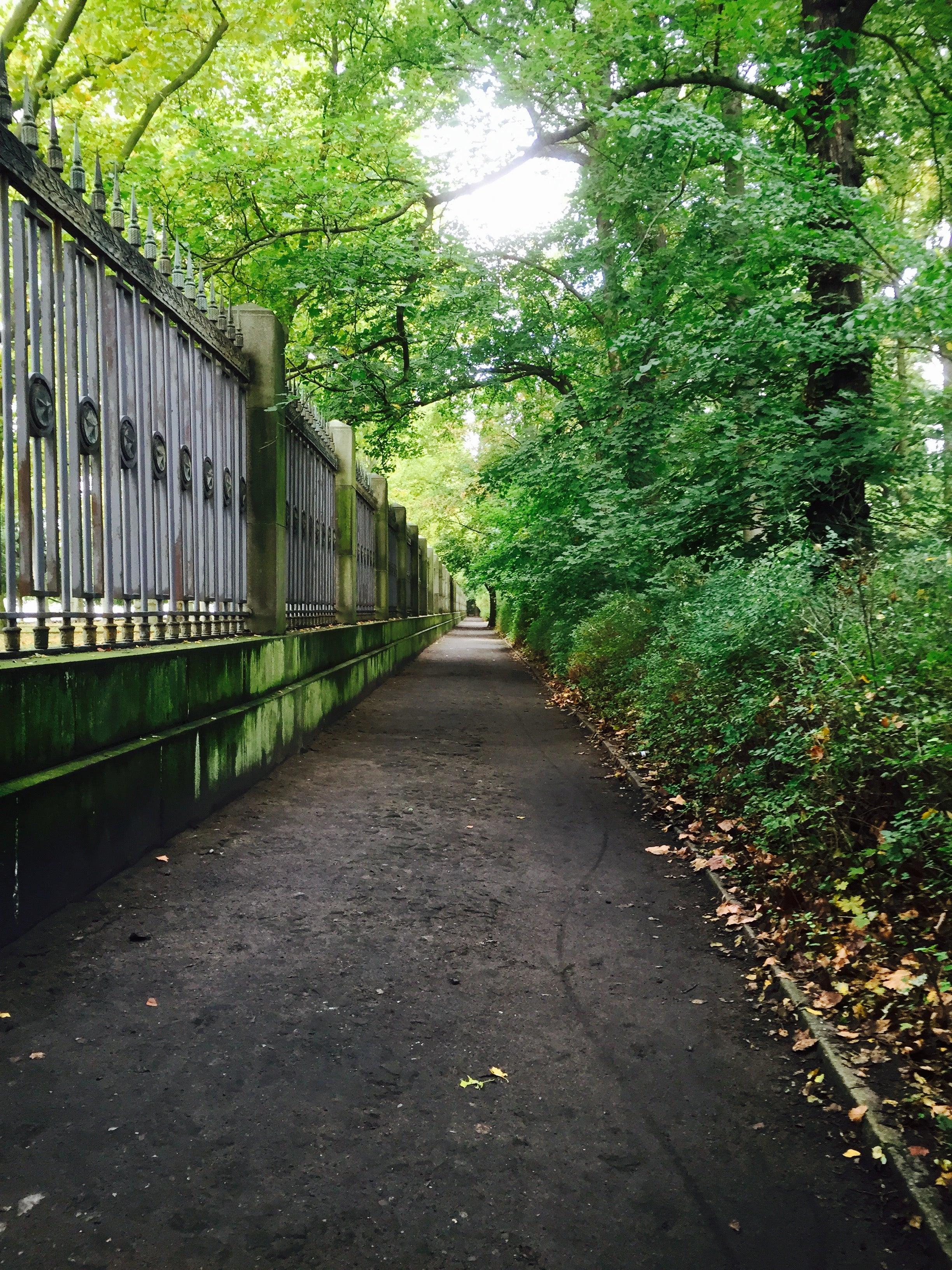 Choosing the Path - VALO Design Clothing 