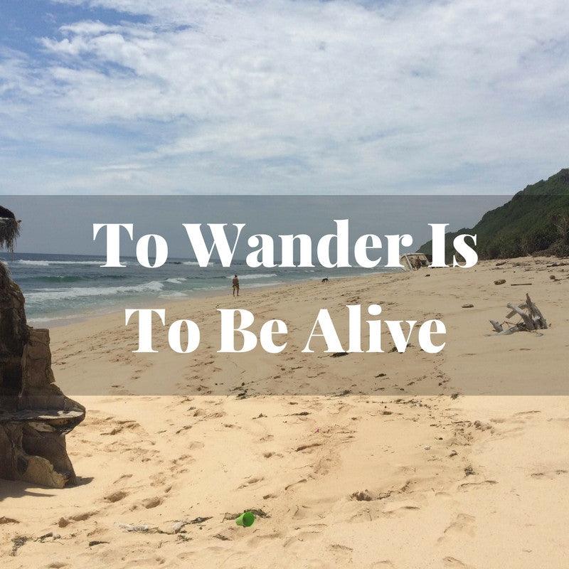 Life Of Wander - VALO Design Clothing 